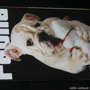 IMG-7713