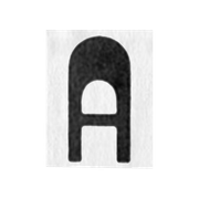 a copy