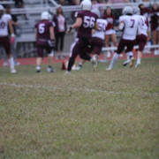 IMG-7381