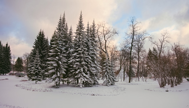DSCF4418.jpg
