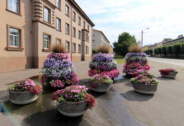 IMG-1603