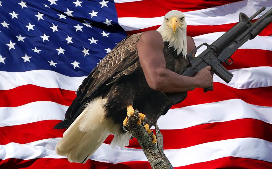 eaglegunflag.jpg