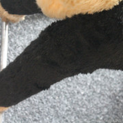 IMG-8841