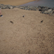 DSC01039
