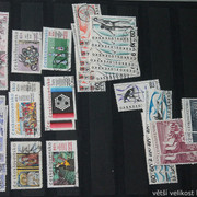IMG-7006