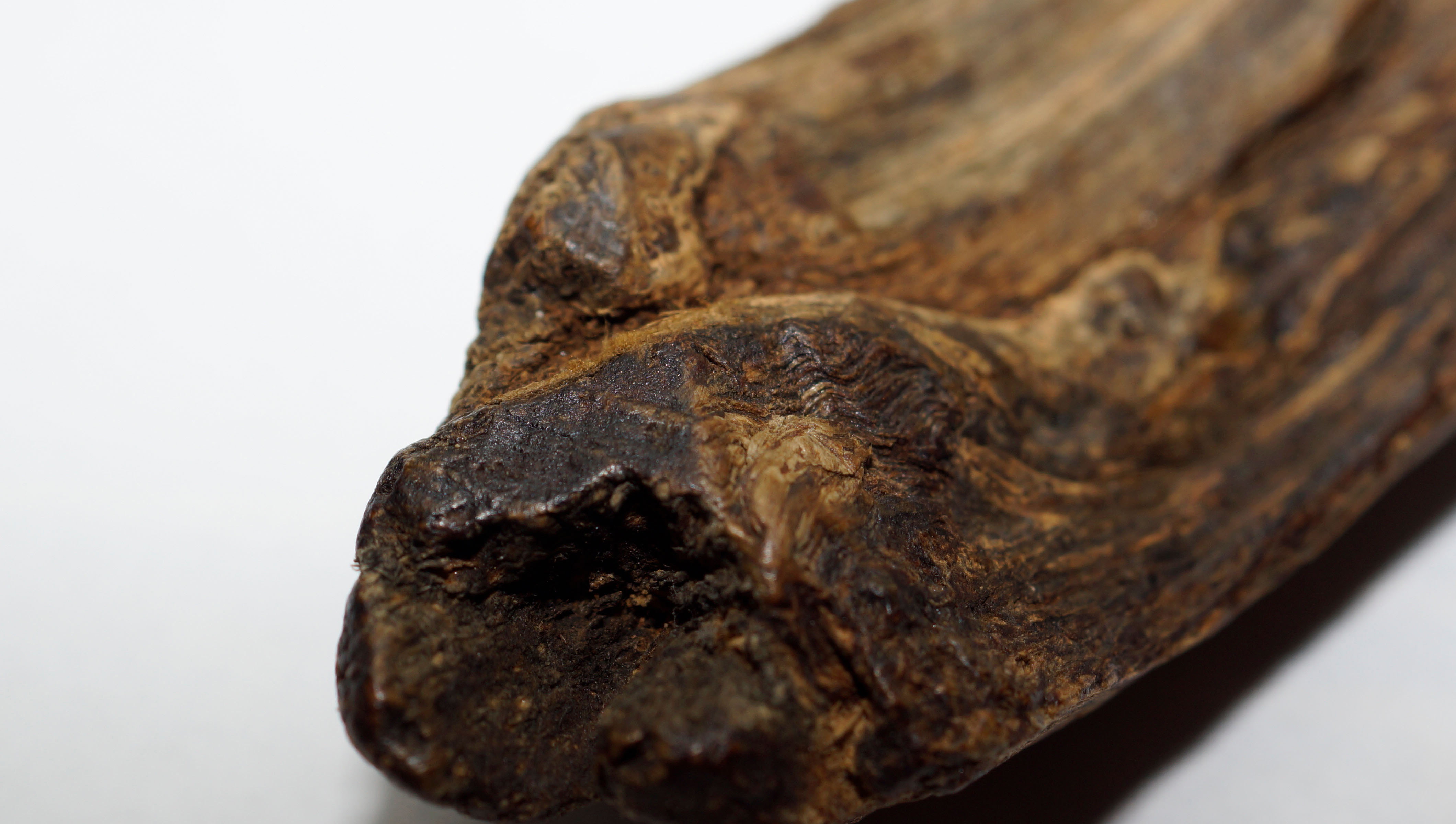 [Ouddict.com] Oud Wood