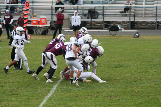 IMG-0360.jpg