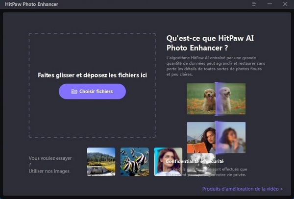 Hit-Paw-Photo-Enhancer.jpg