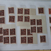 IMG-2095