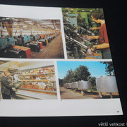 IMG-4520
