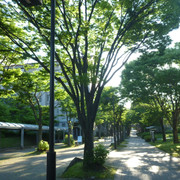 P1320108