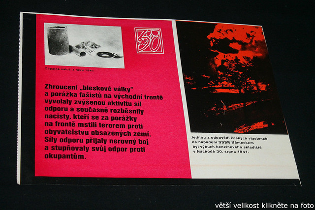 IMG-8619.jpg