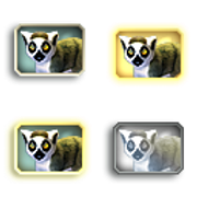 LemurRingtailed_Adult_F