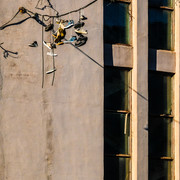 Sunset-LEDP2-2
