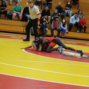 IMG-0528
