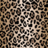 brown-1