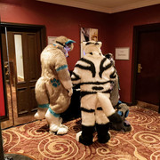 IMG-20191118-002445