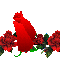 0-aa361-d9a4f606-M