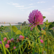 2011-06-29-44