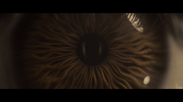 SPE0033