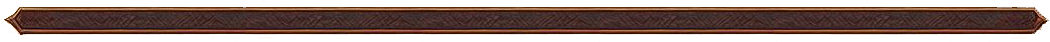 SEPARADOR-01.png