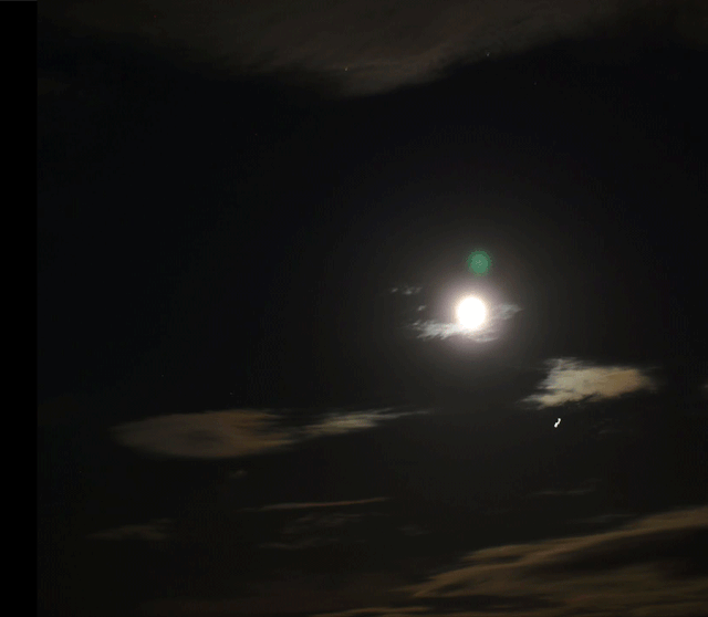 PA131778-1.gif