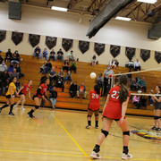 IMG-0208