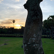 IMG-1795