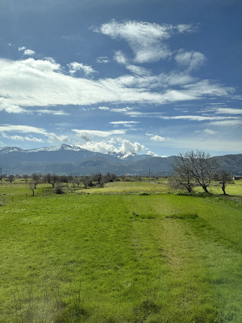 IMG-0108