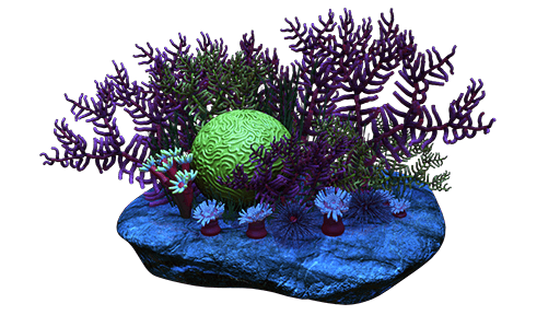 Coral01.png