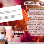 masksworkpeterdaoucovid19two