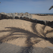 DSC01052