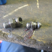 IMG-4303