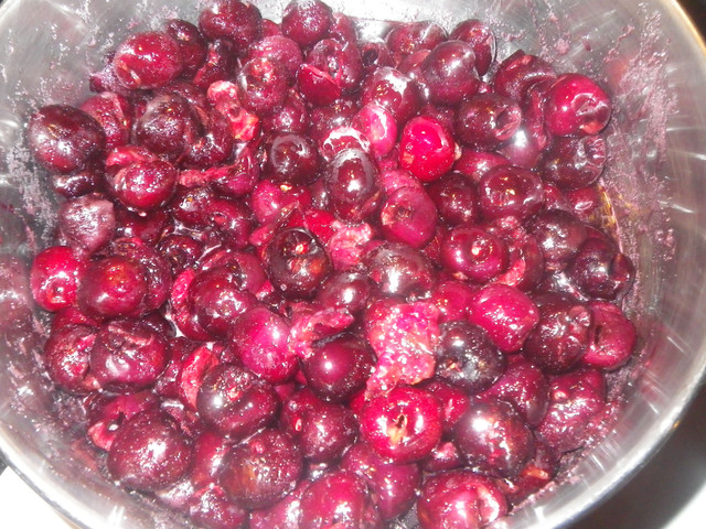 IMGP0141