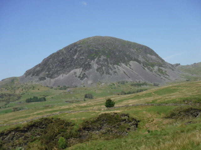 DSCF7913.jpg