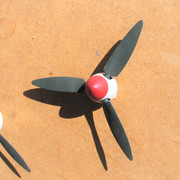 80