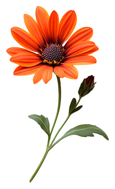 33eb76b4ec8ae8b4c2dfa193805f7f61.png