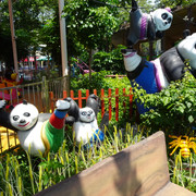 DSC00639