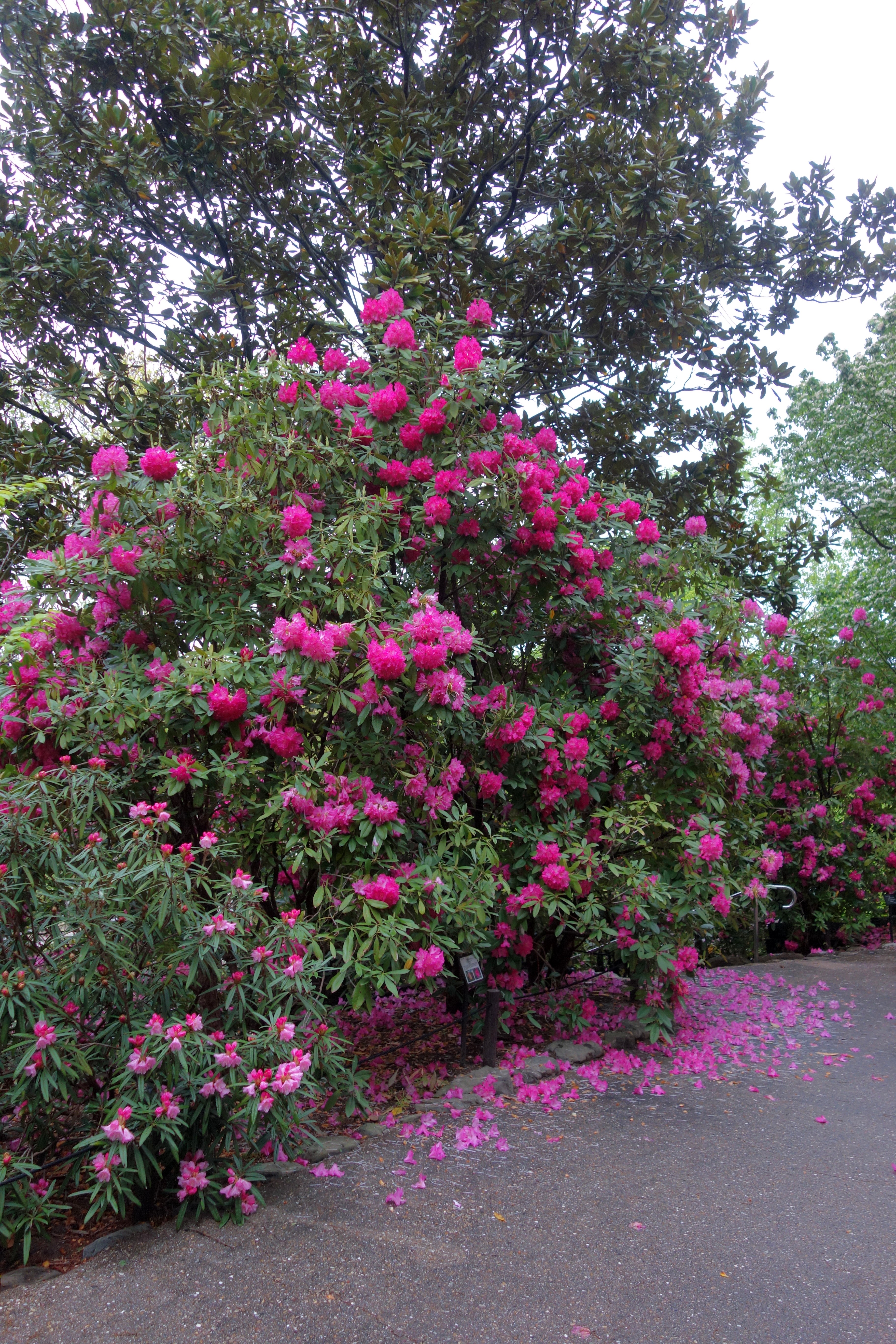 DSC01247