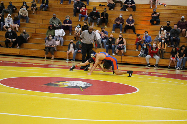 IMG-0286