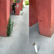 IMG-9938