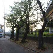 P1350144