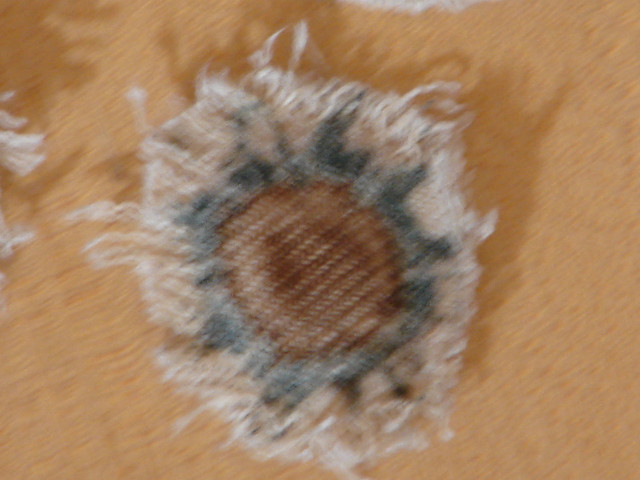 DSC03073
