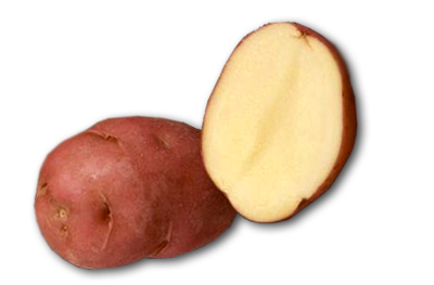 Batata Desiree