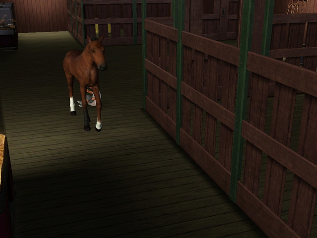 Screenshot-29
