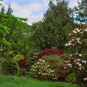 DSCF4949-5