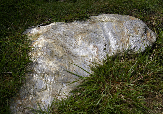 IGP2911.jpg