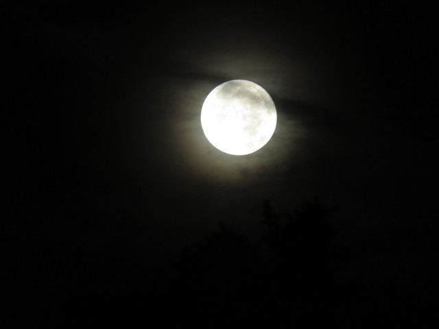 moon-032.jpg