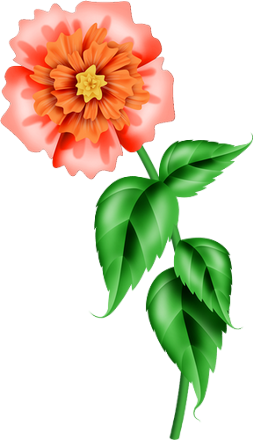 89f87fc8.png