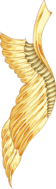 fd196b26a27deced4f87db546516479c.png